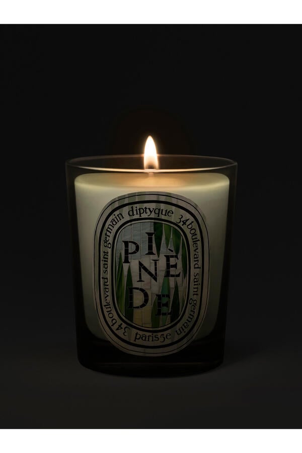 Pinède Classic Scented Candle