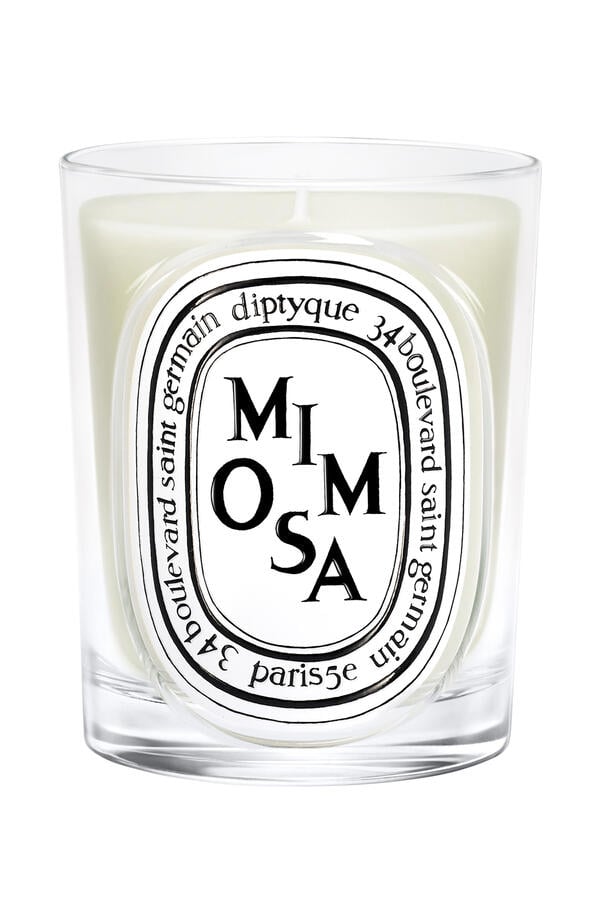 Classic Mimosa Candle