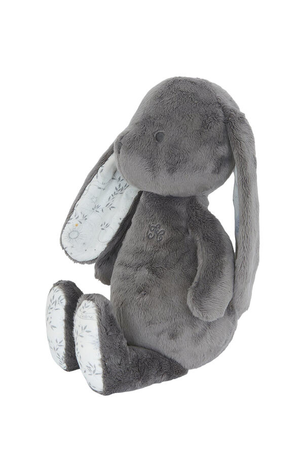 Augustin The Rabbit