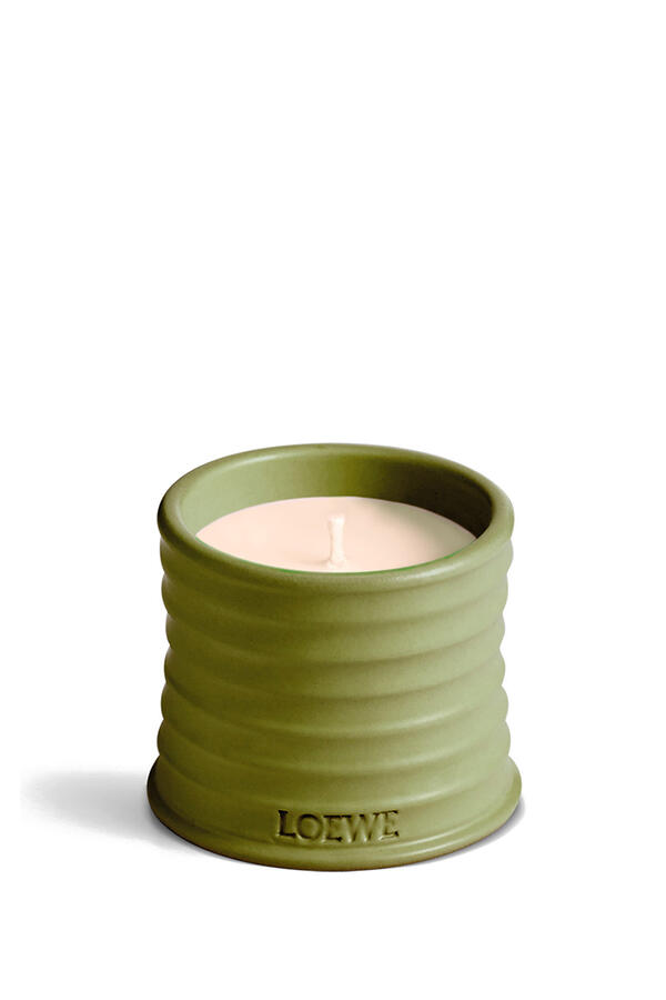 Small Pistachio Candle