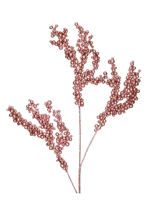 Berry Cluster Stem