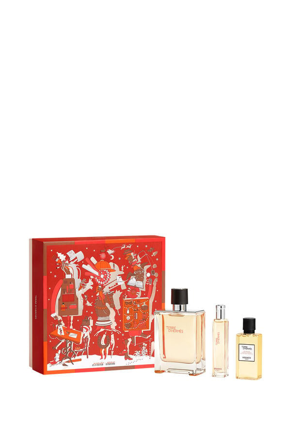 Terre d'Hermes EDT Set 100ml + 15ml + Shower Gel 40ml FEH26