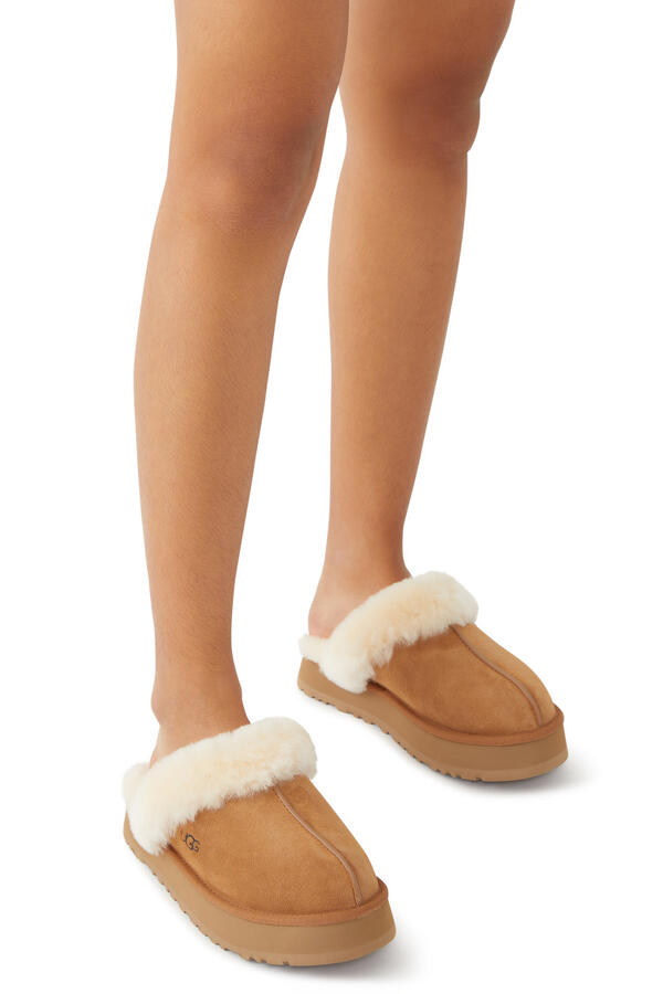 Disquette Slippers