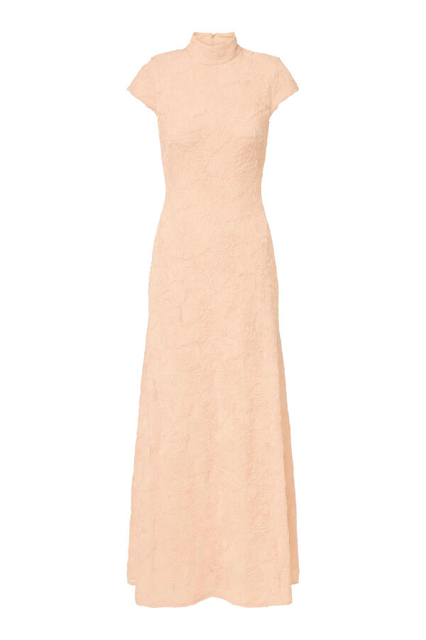 Mesh Maxi Dress