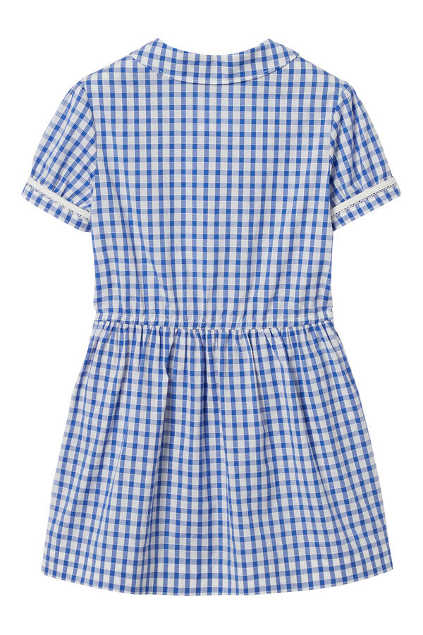 Kids Characters Embroidered Gingham Dress