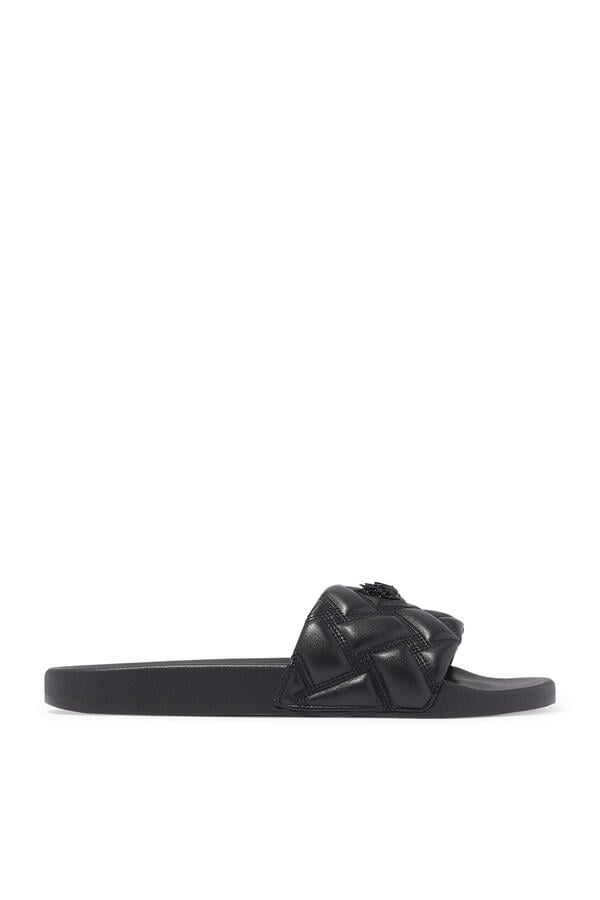 Meena Eagle Slides