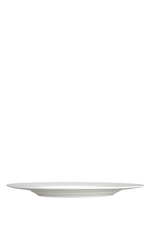 Quanta Dinner Plate
