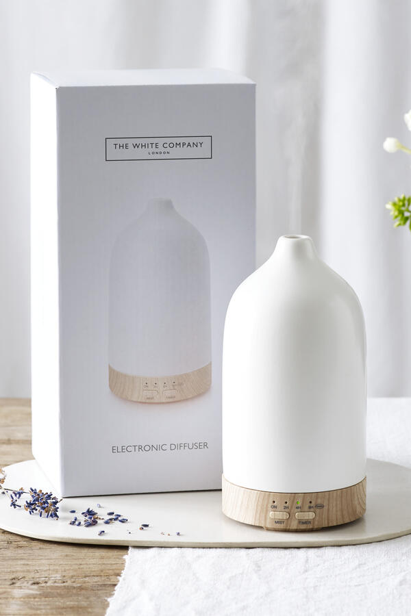 Electronic Diffuser