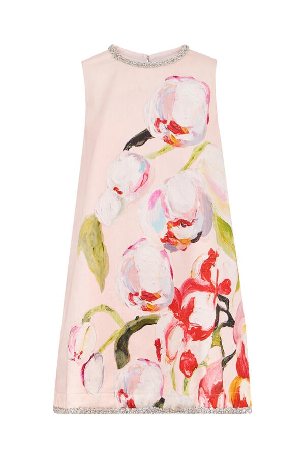 Anglesey Mini Dress
