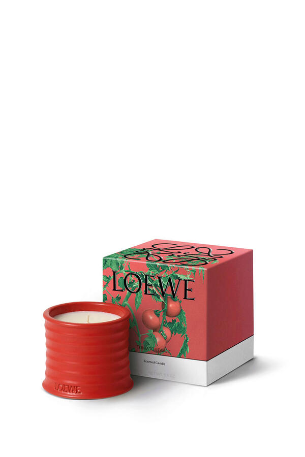 Tomato Leaves Scented Candle