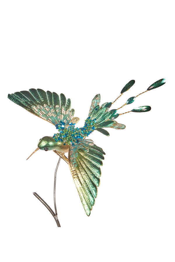 Jewel Hummingbird on Clip