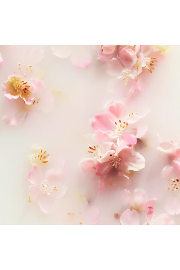 The Ritual of Sakura Refill Fragrance Sticks