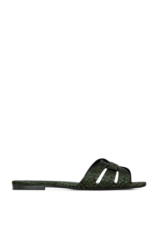 Tribute Slides