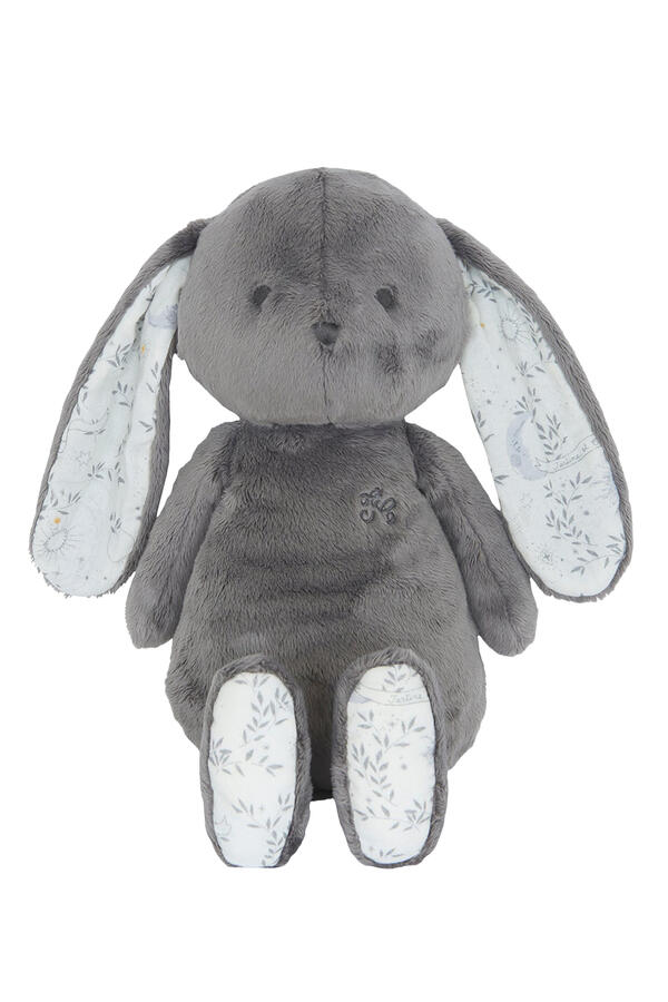Augustin The Rabbit
