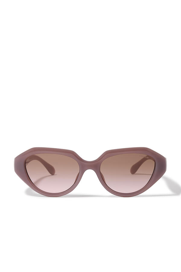 Irreg Frame Sculpted C Logo Temple Sunglasses