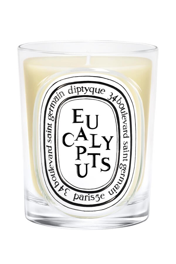 Classic Eucalyptus Candle