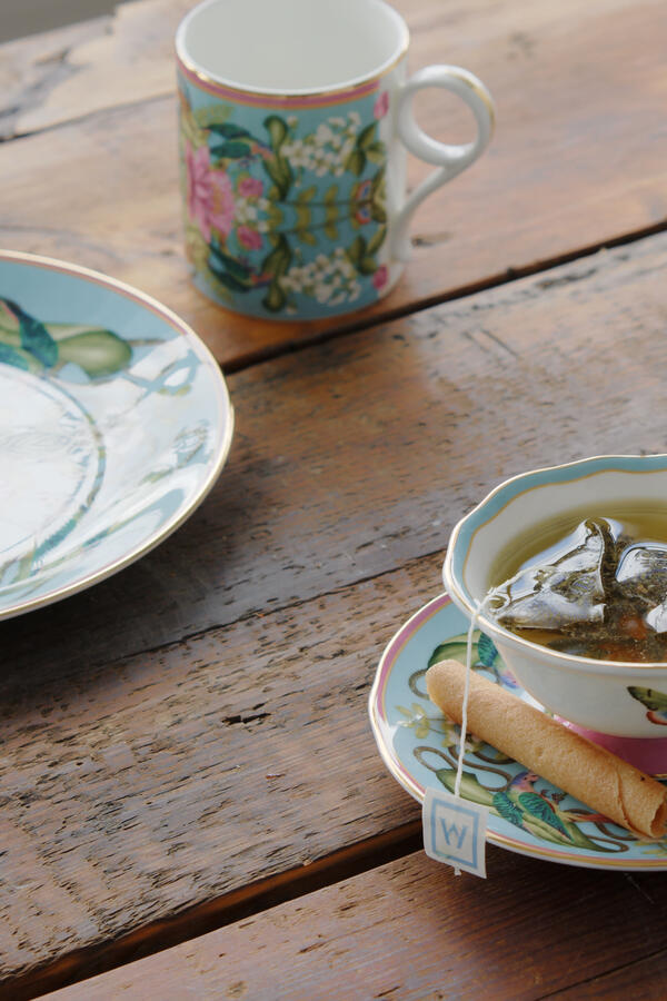 Wonderlust Menagerie Mug