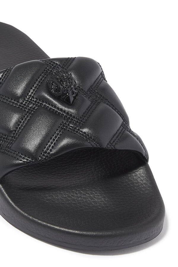 Meena Eagle Slides