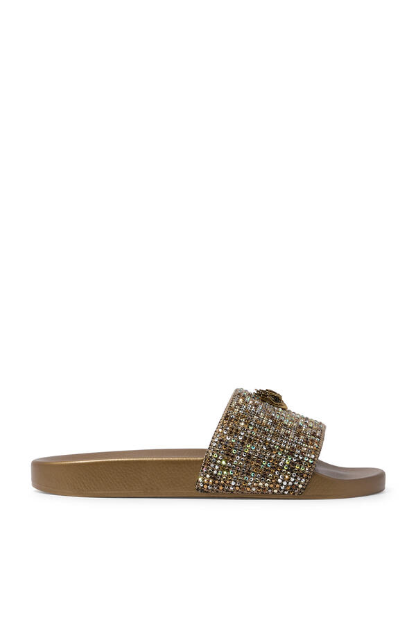 Meena Eagle Slides