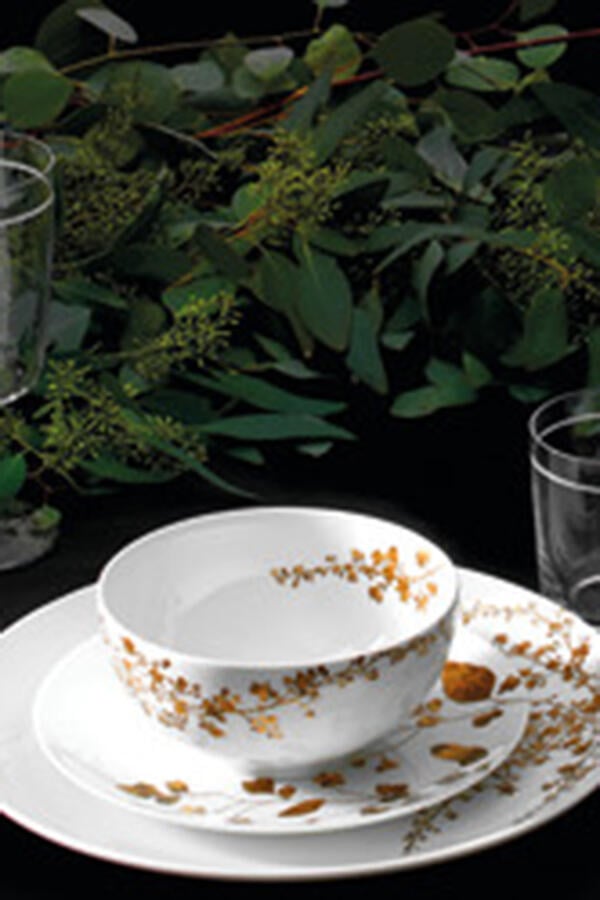 وعاء إفطار جاردن 15