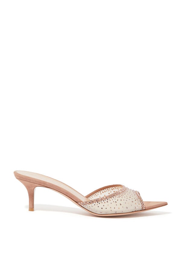 Rania 55 Embellished Mules in Suede and Organza