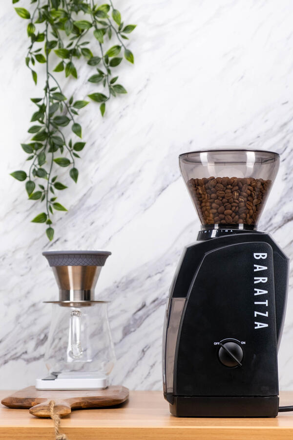 Encore 230V Coffee Grinder 