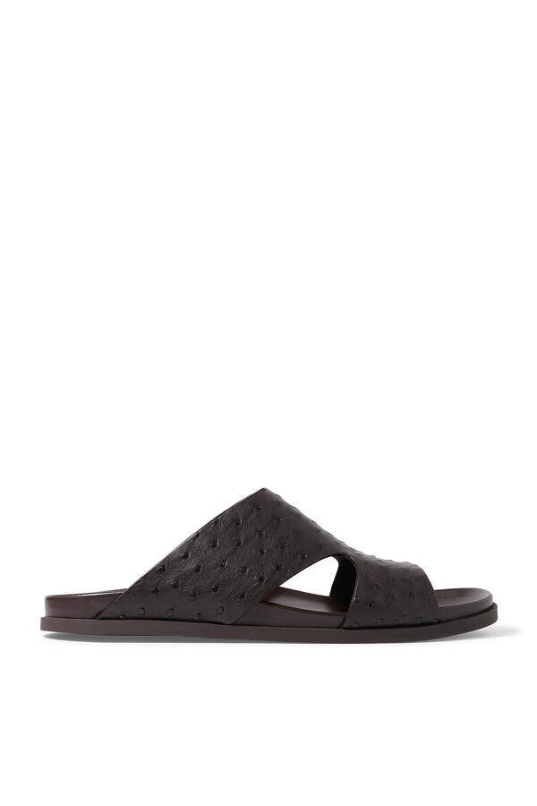 Rhein Open Slides