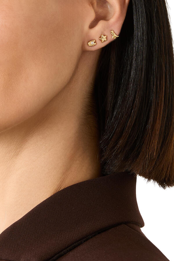 Mixed Motif 5 Stud Earrings Set 
