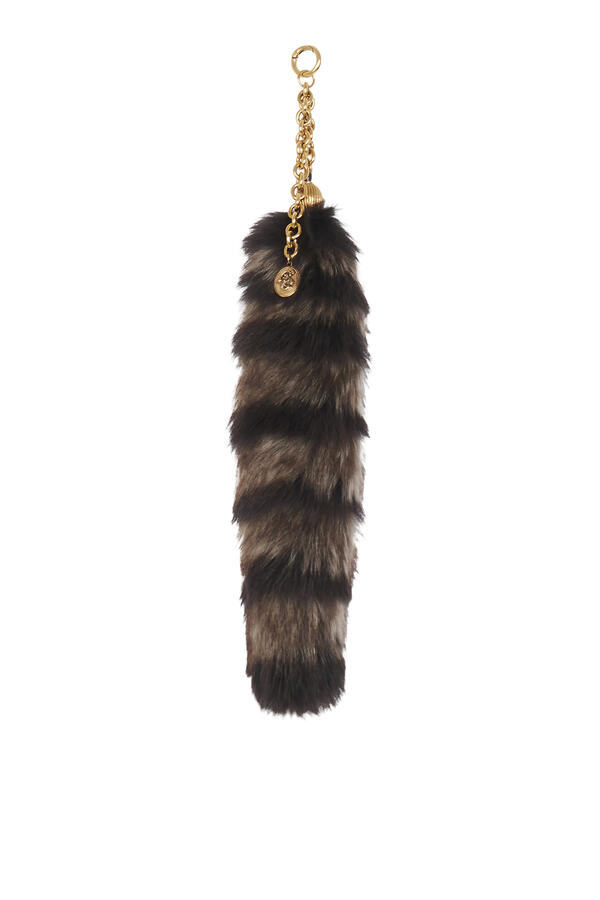 The Treasure Tails Charm