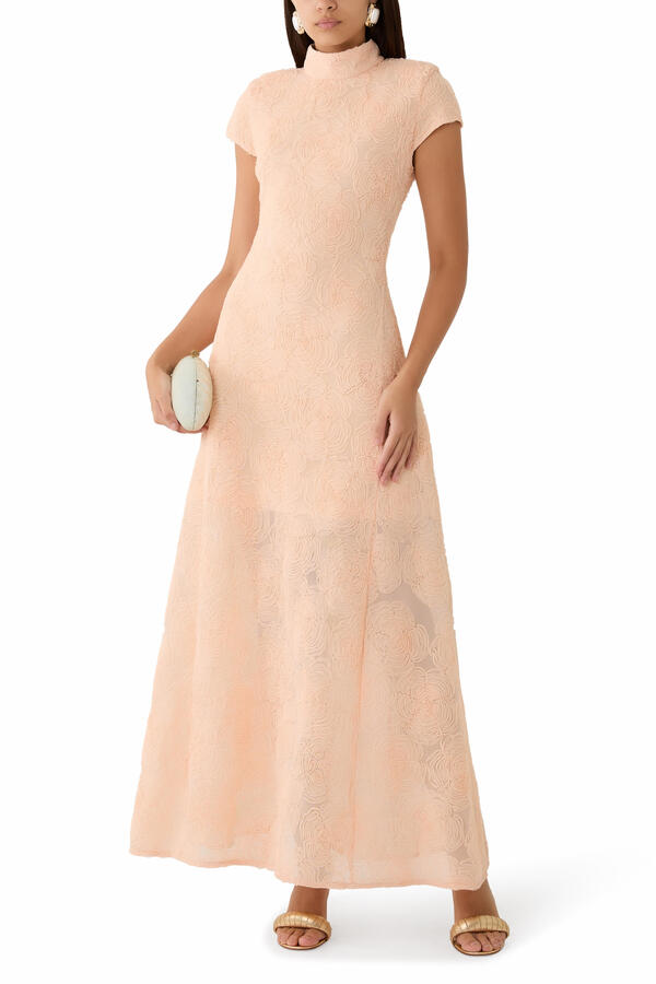 Mesh Maxi Dress