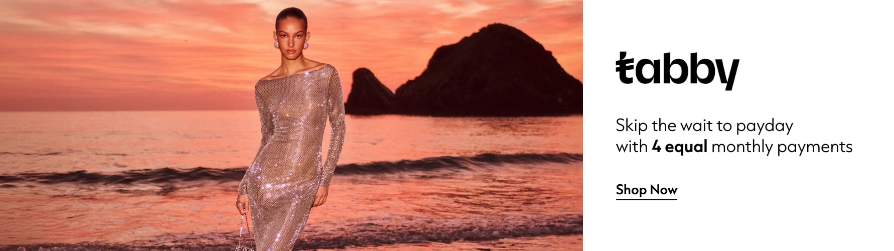 Tabby Interrupter March 2026