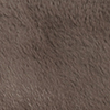 TRUFFLE