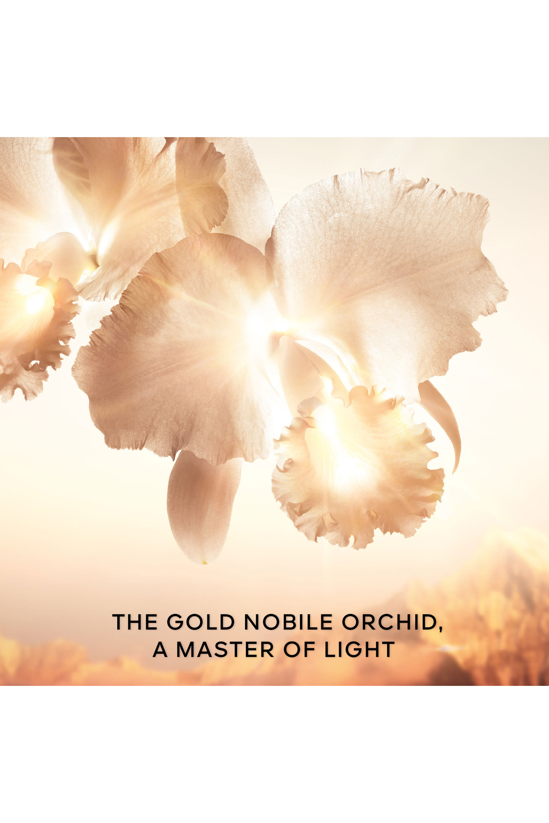 Orchid&eacute;e Imp&eacute;riale Gold Nobile Serum