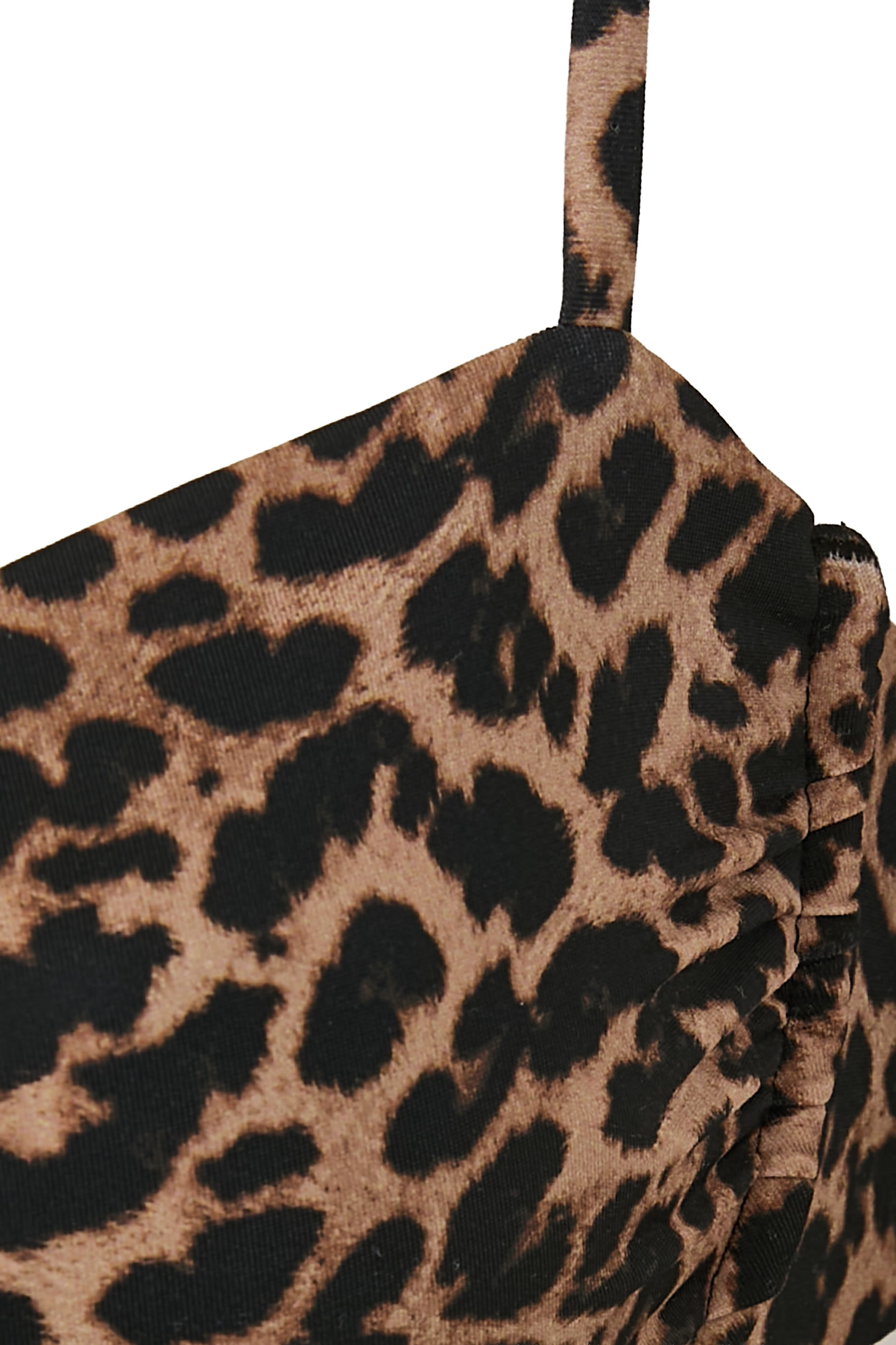 Aruba Leopard Print Top