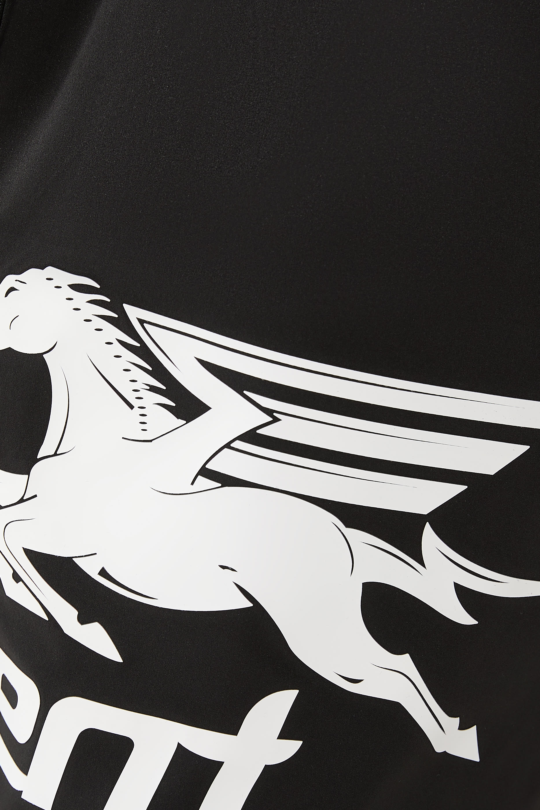 Nothing Faster Swim Shorts