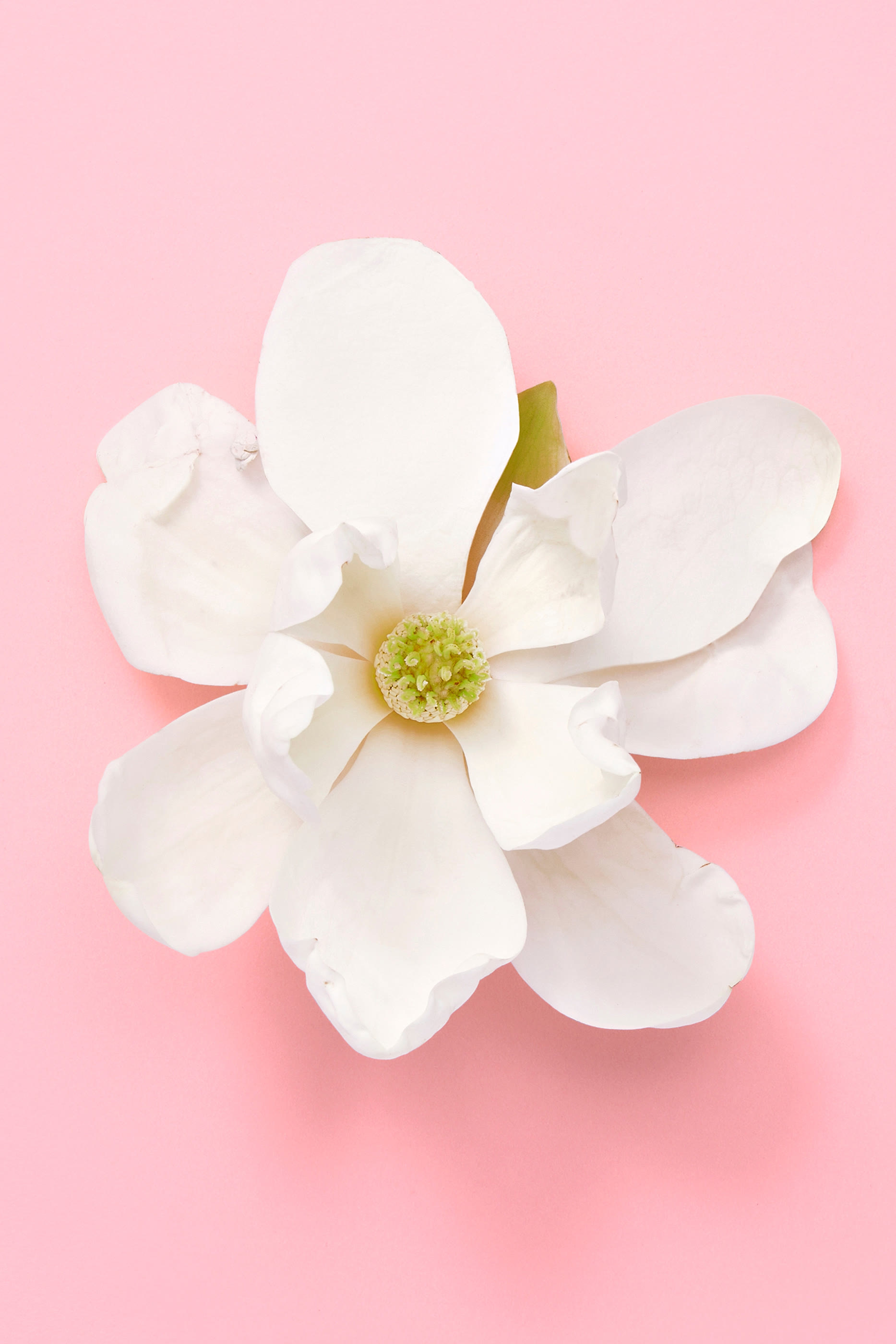 Flora Gorgeous Jasmine Eau De Parfum