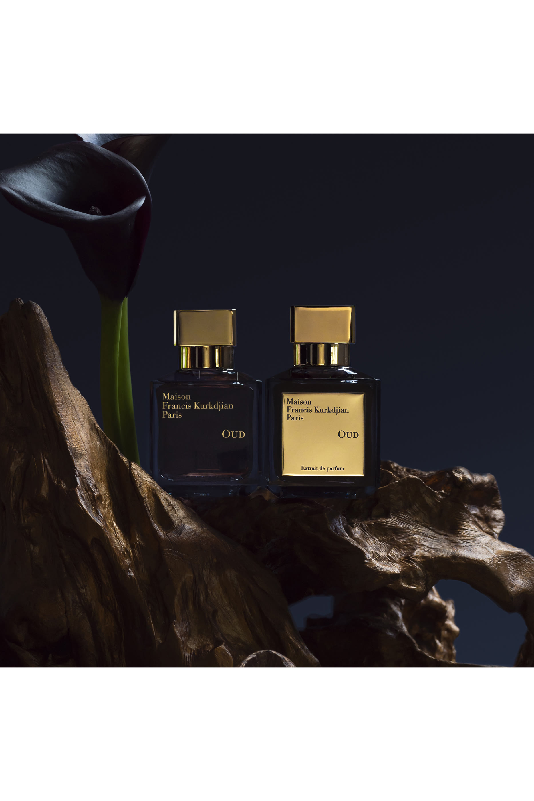 Oud Eau de Parfum