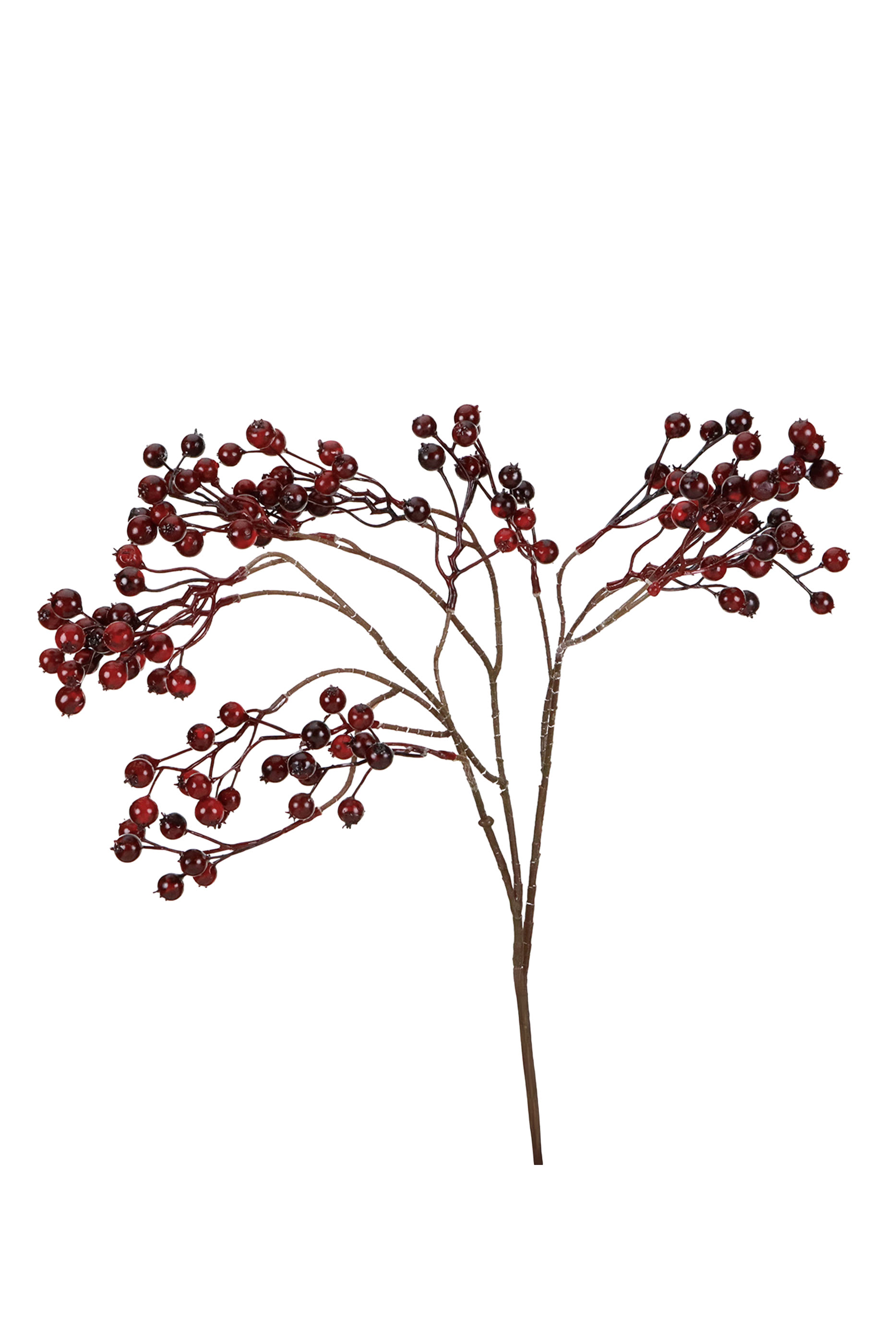 Berry Stem