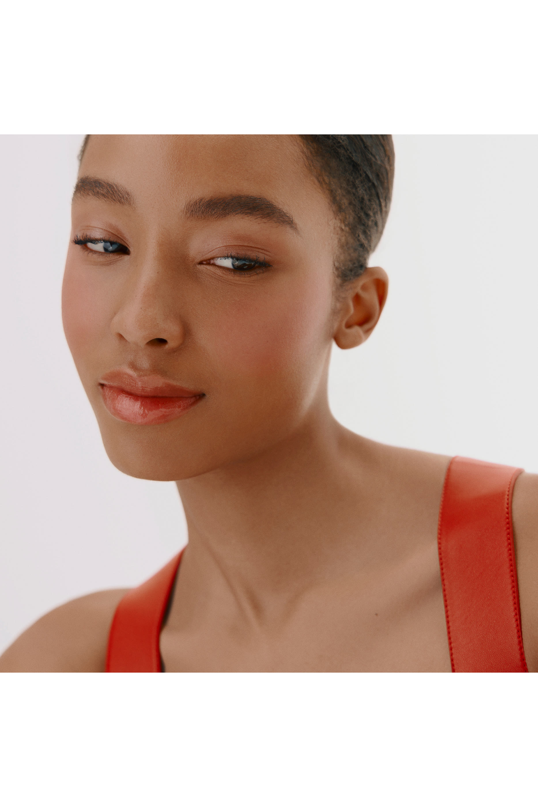 Hermèsistible, Infused Care Lip Oil