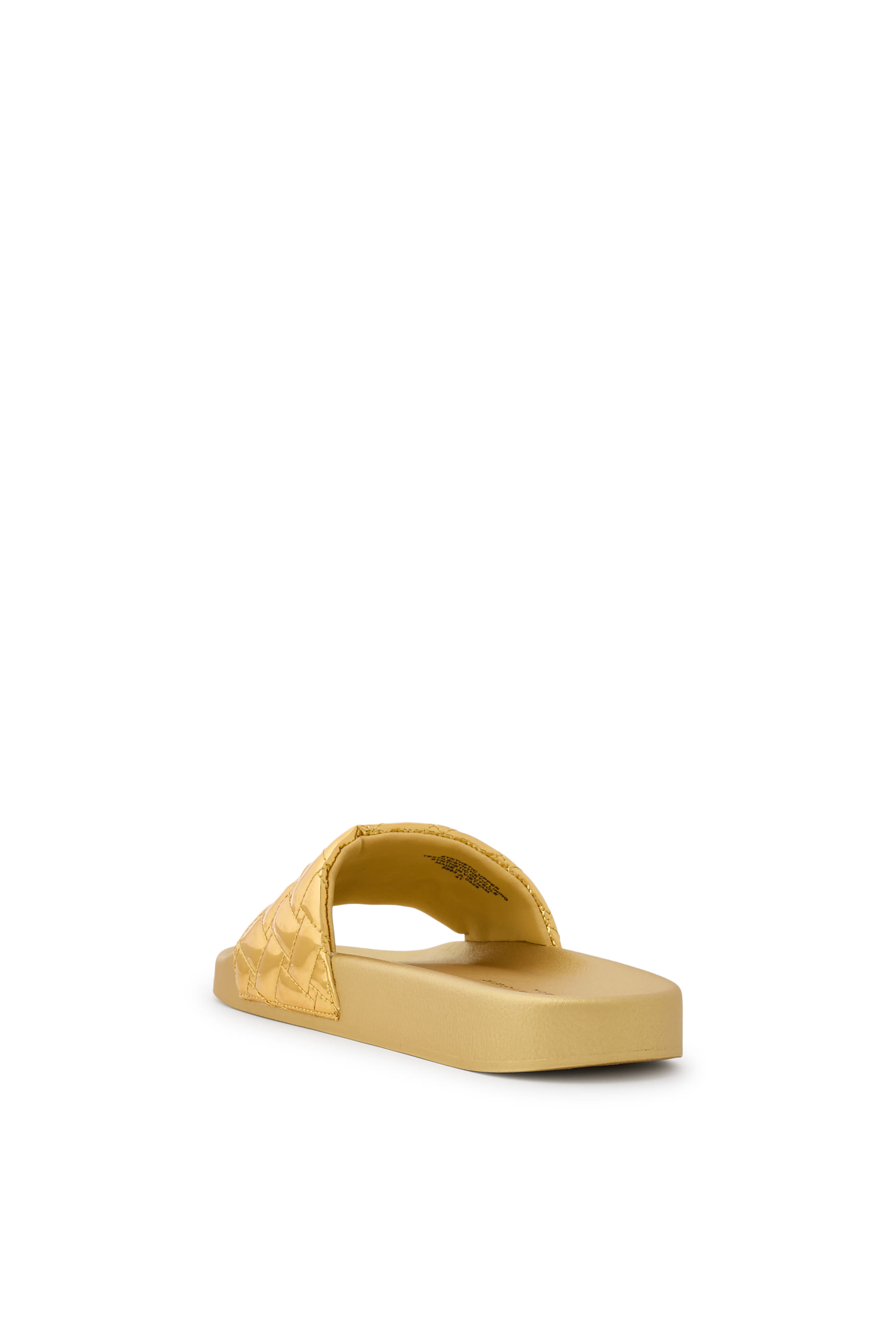  Meena Eagle Slides 