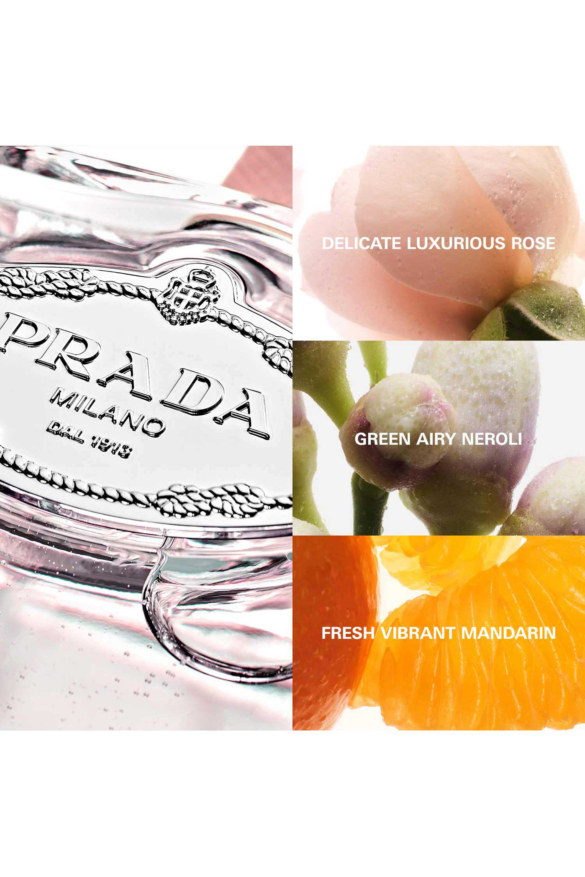 Les Infusions de Prada Rose Eau de Parfum