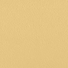 Light/Pastel Yellow