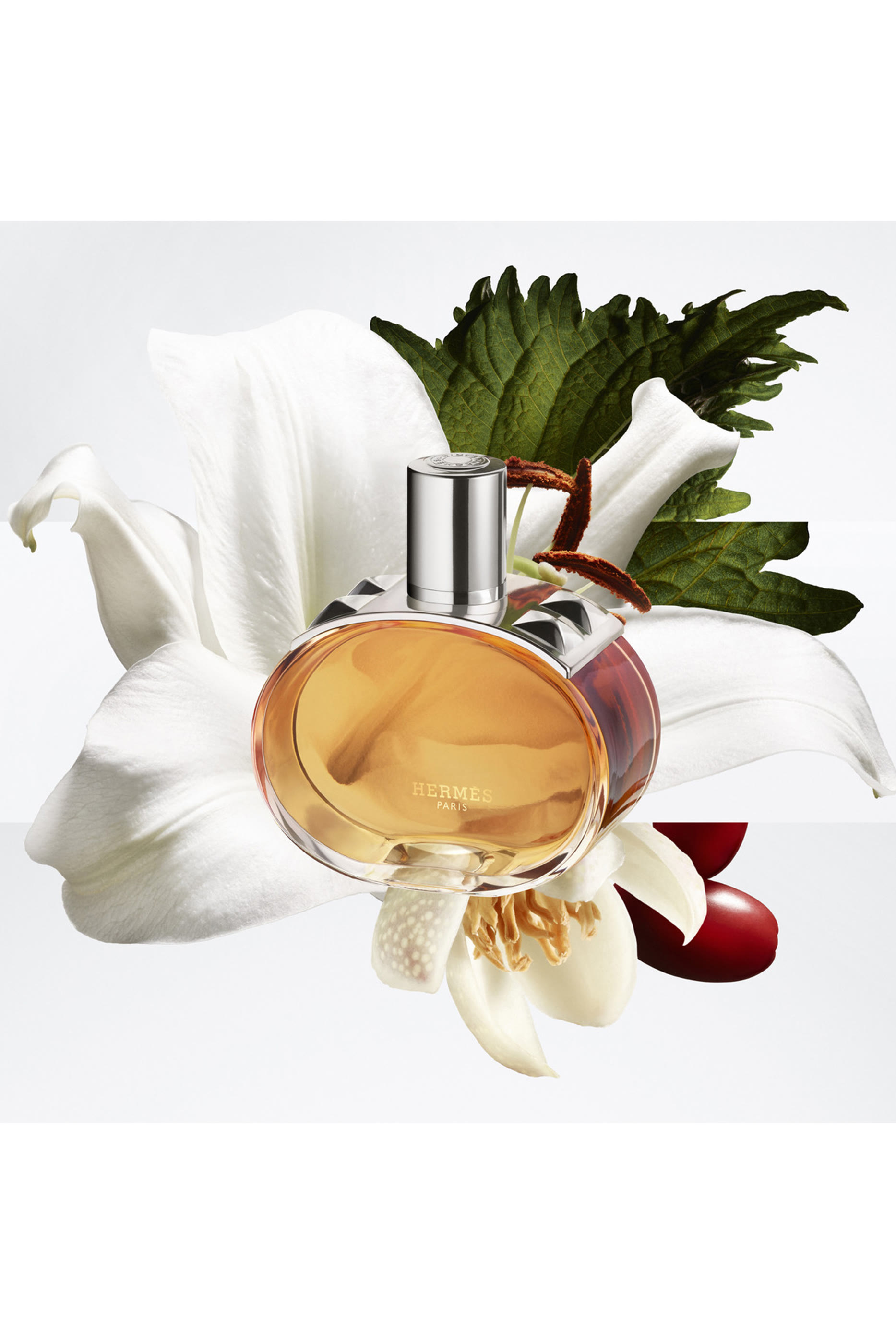 Barénia Pleine Fleur Eau de Parfum