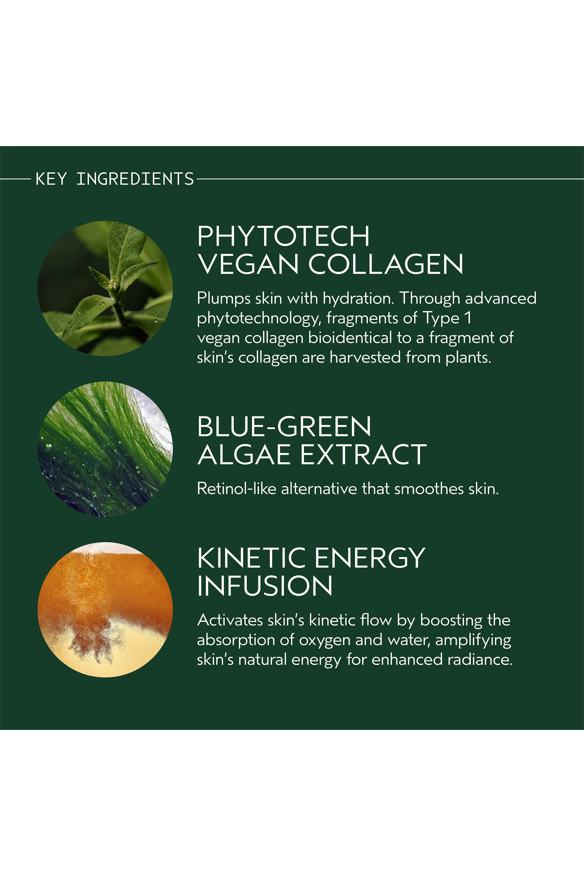 Advanced Botanical Kinetics™ Revitalizing Essence Lotion 