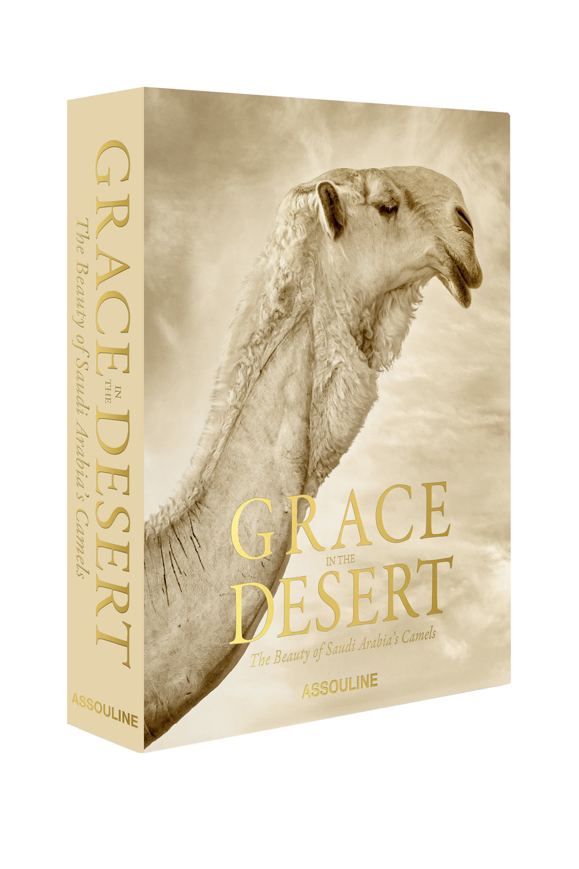 Grace in the Desert: The Beauty of Saudi Arabia’s Camels
