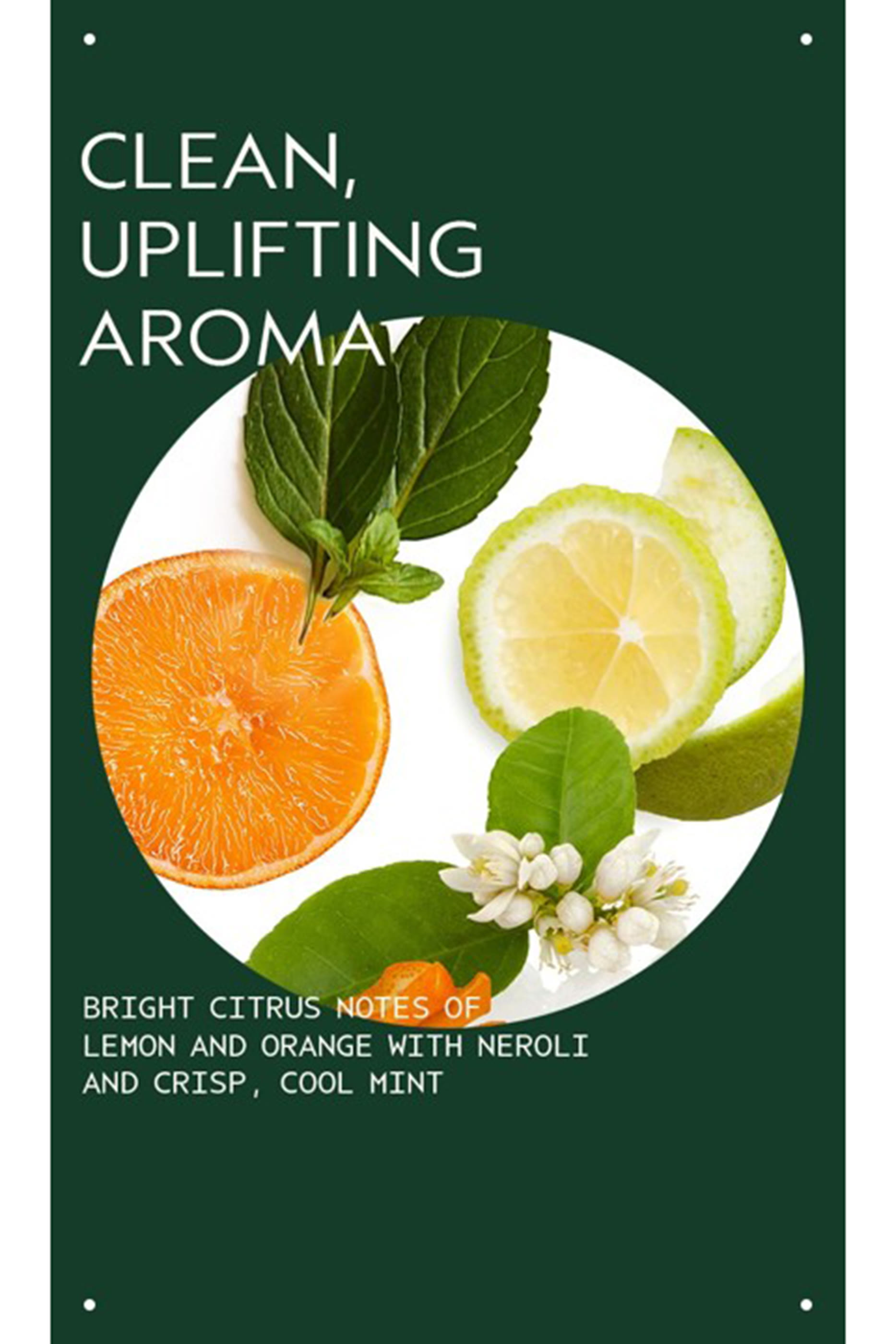 Scalp Serenity Scalp Solutions Balancing Set, 25% Value Savings