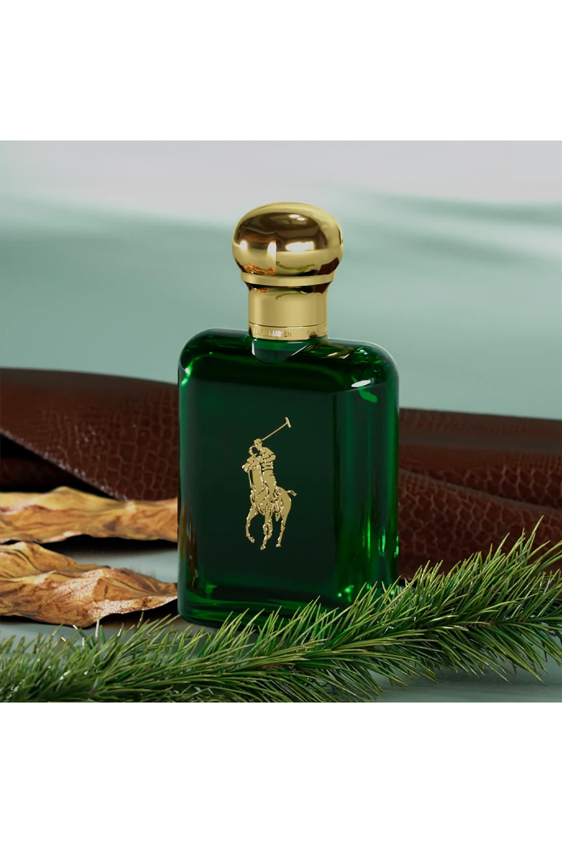 Polo Eau de Toilette