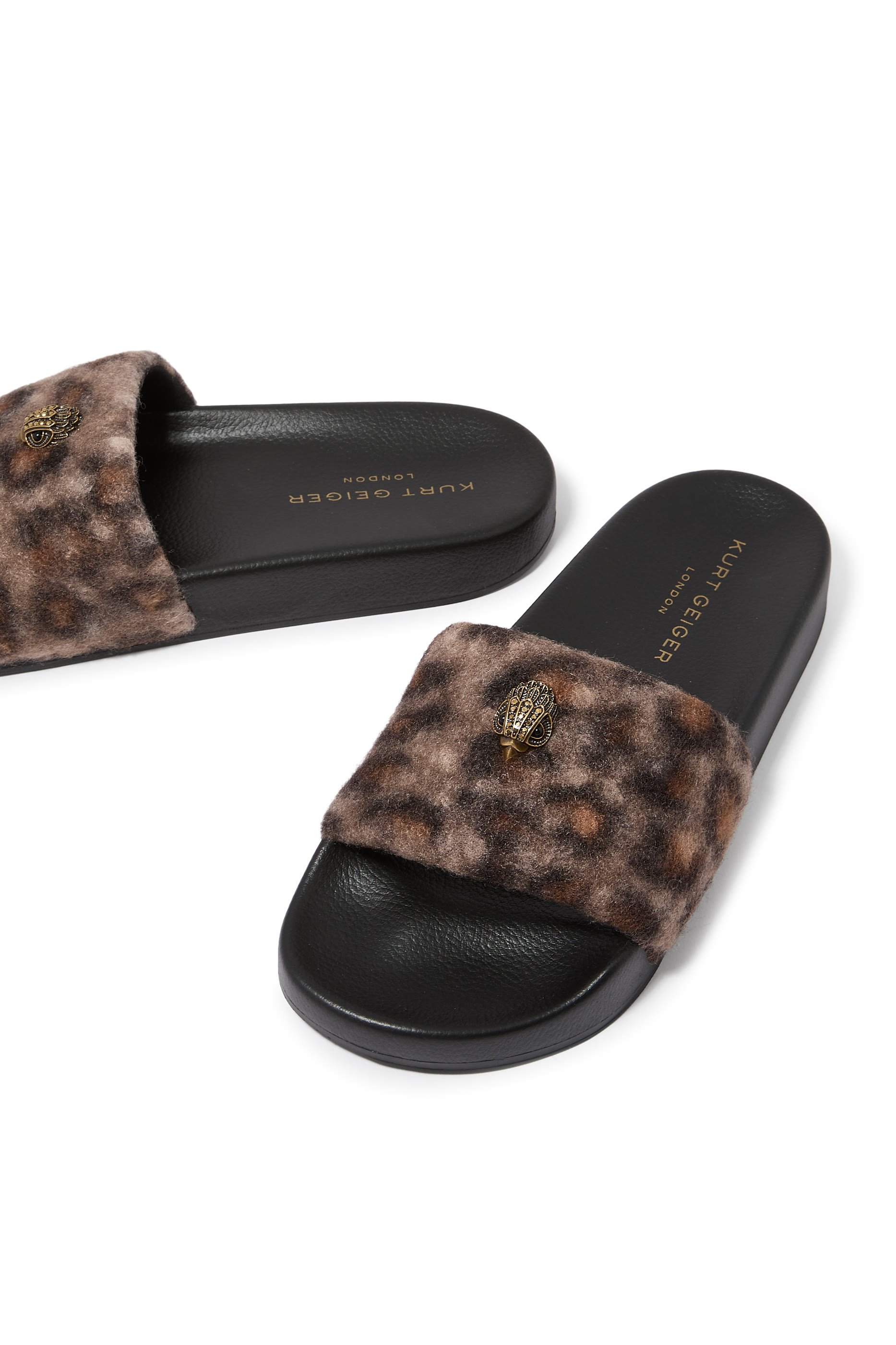 Meena Eagle Slides