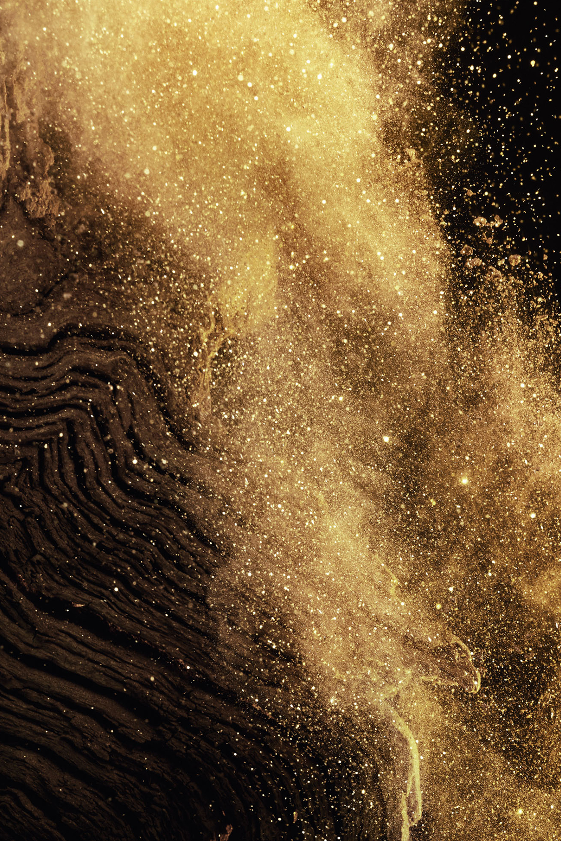 &Eacute;pices Exquises Eau de Parfum