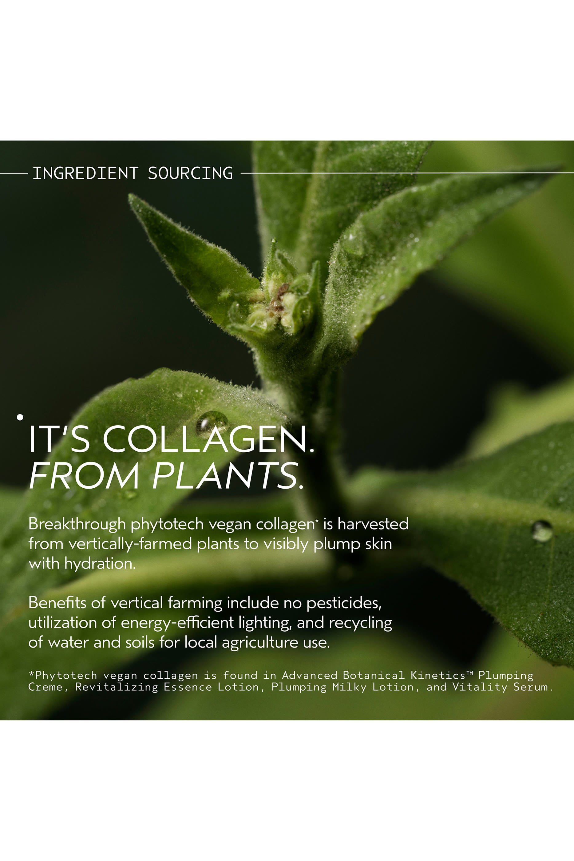 Advanced Botanical Kinetics™ Plumping Creme Refill